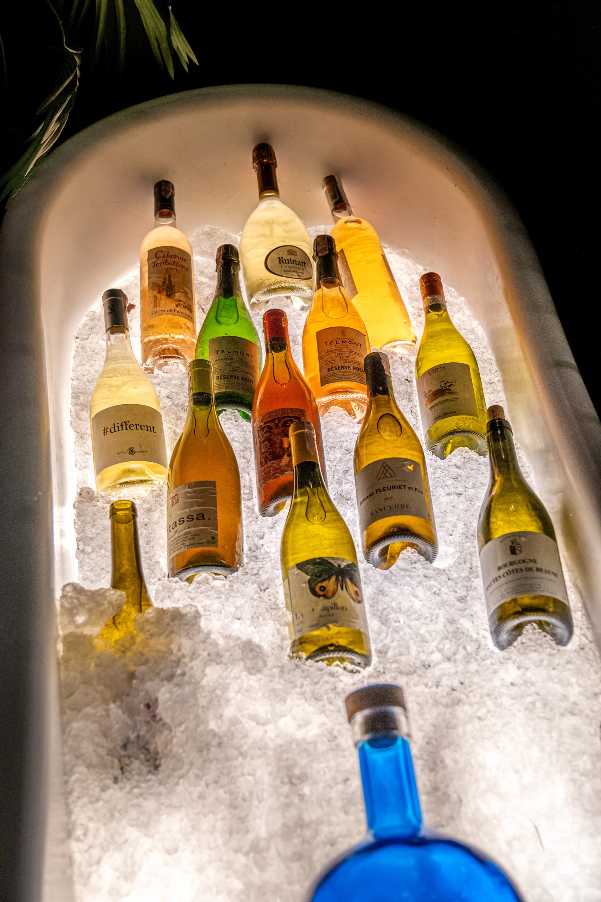 Bottles of Champagne, rosé and white wine on crushed ice in a lit white bathtub