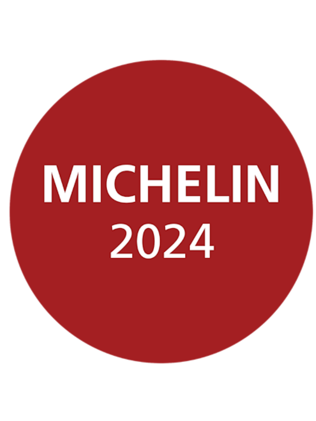 Michelin 2024 Icon